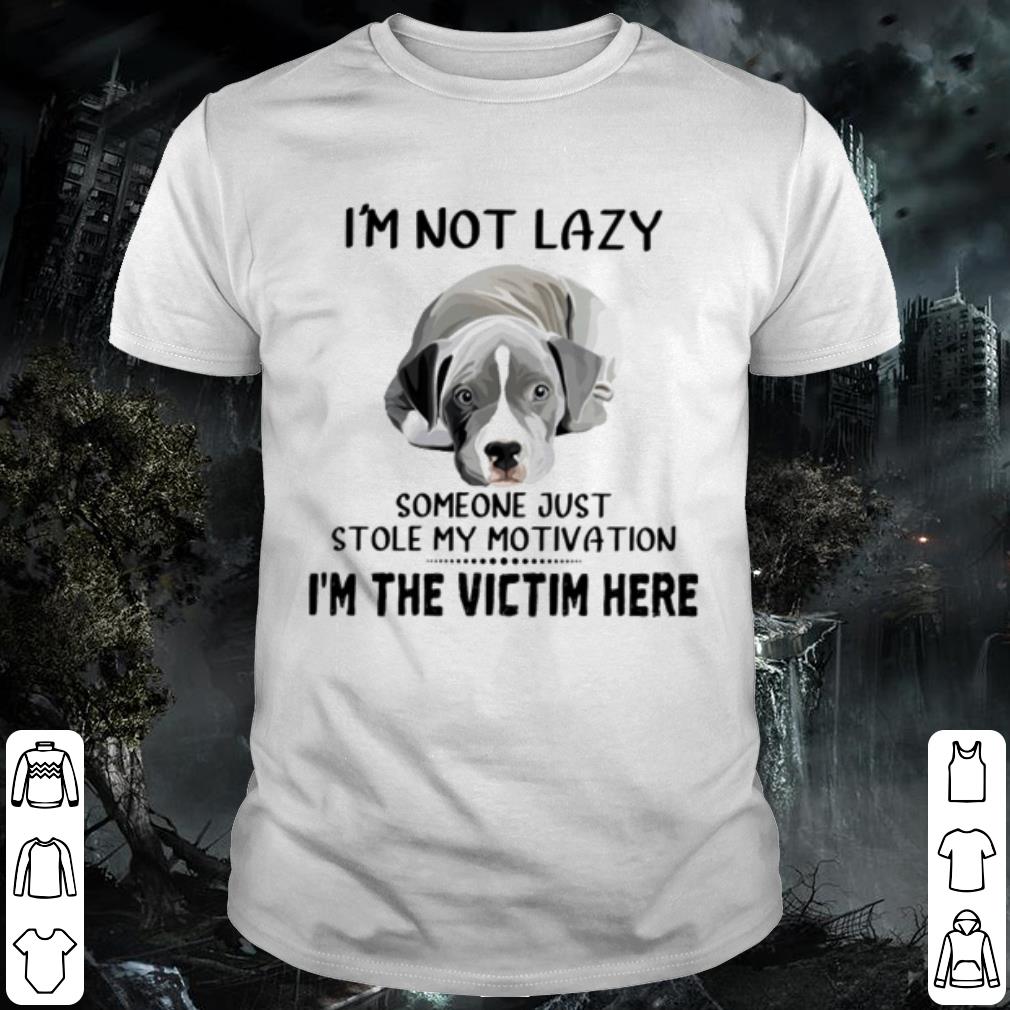 Original I'm Not Lazy Someone Just Stole My Motivation I'm The Victim Here shirt 7