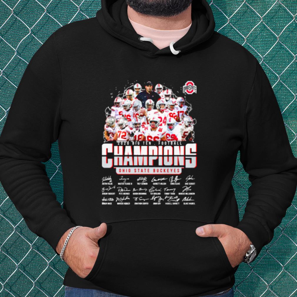 Cool Ohio State Buckeyes 2020 Big Ten Football Champions shirt