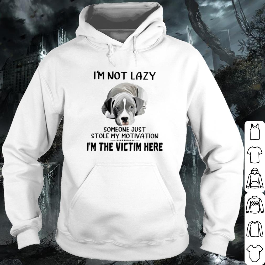 Original I'm Not Lazy Someone Just Stole My Motivation I'm The Victim Here shirt