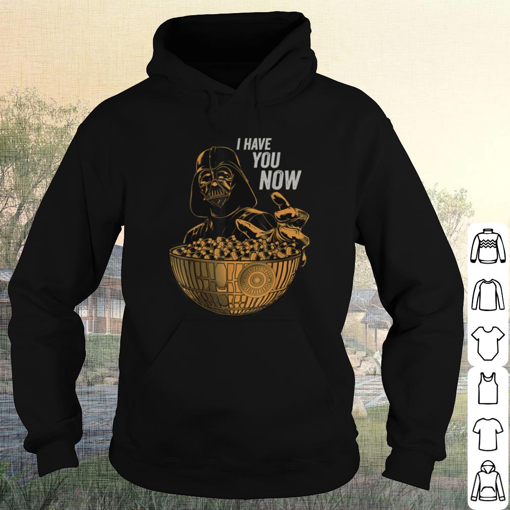 Cool Star Wars Darth Vader I Have You Now Funny Halloween shirt