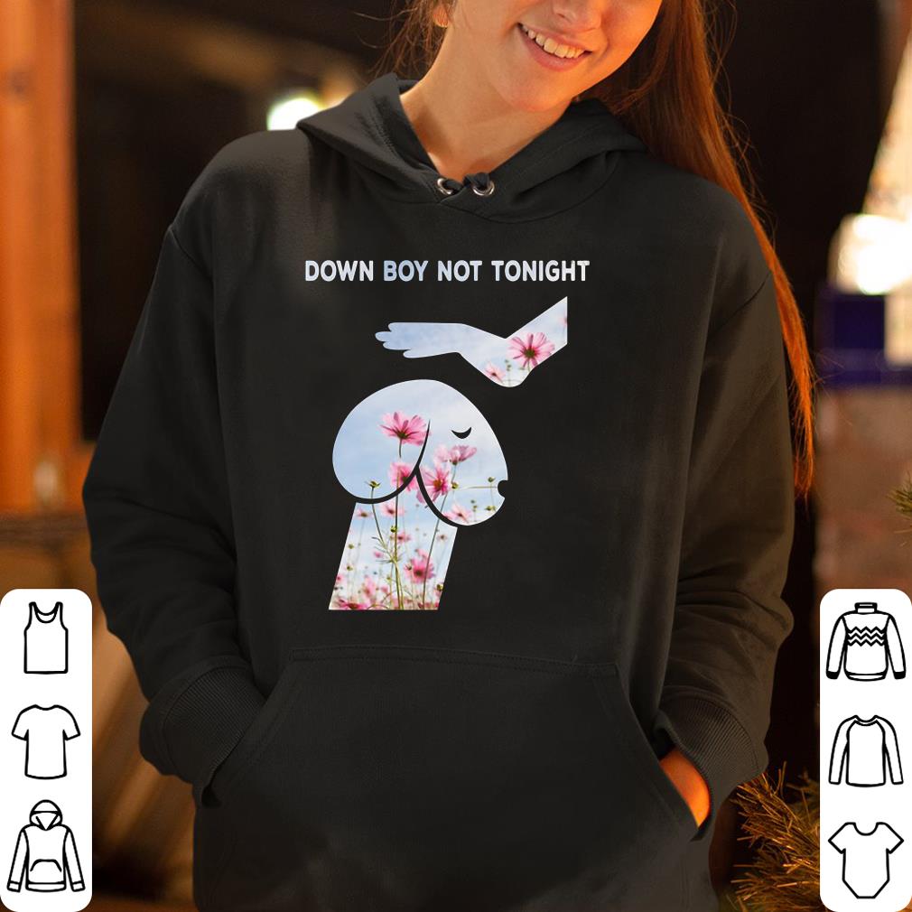 https://cdn.gifteeshirt.com/dianshirts/2019/04/Down-Boy-Not-tonight-shirt_4.jpg
