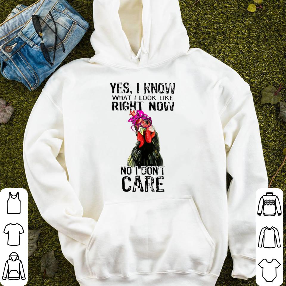 https://cdn.gifteeshirt.com/dianshirts/2019/04/Yes-I-know-what-I-look-like-right-now-No-i-don-t-care-chicken-shirt_4.jpg