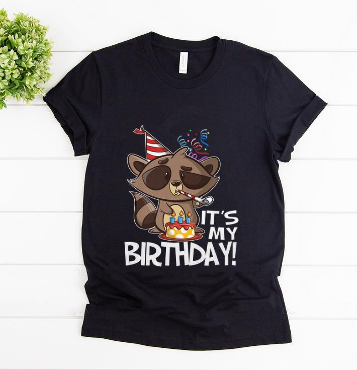 Nice It's My Birthday Party Raccoon shirt