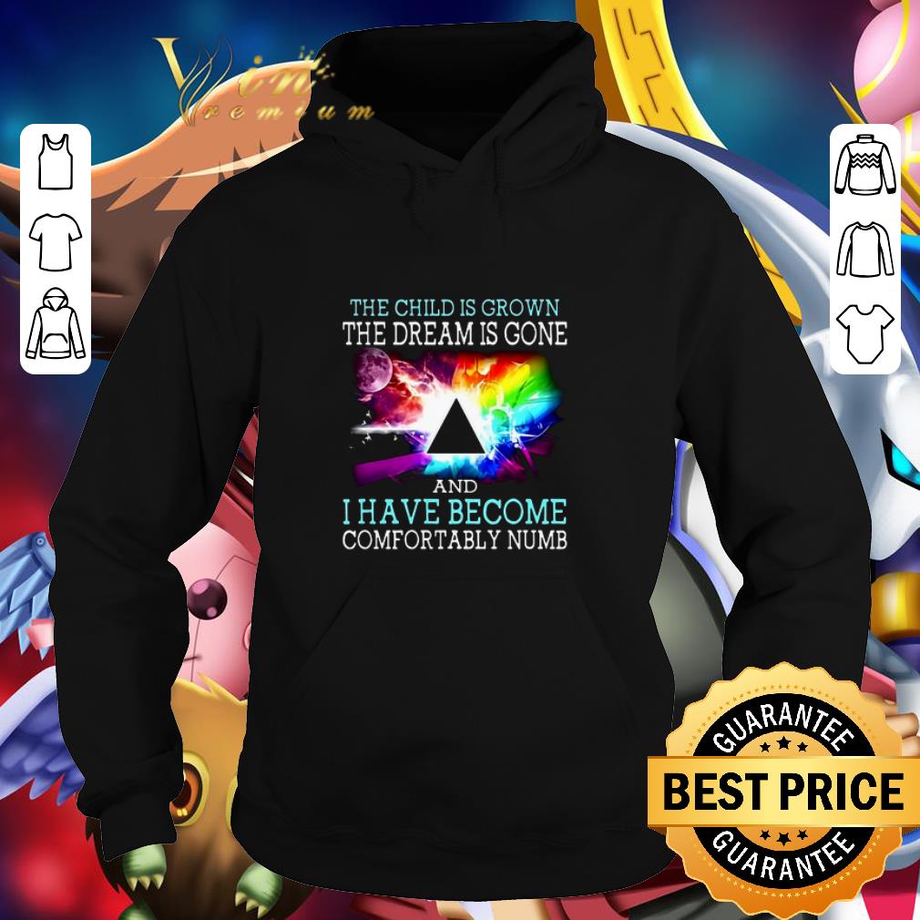 Nice Pink Floyd the child is grown and i have become comfortably numb shirt