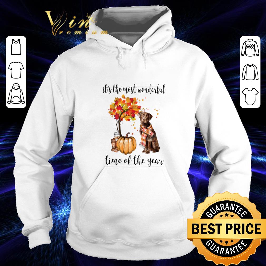 Cheap Pumpkin & Labrador it's the most wonderful time of the year shirt 1 Cheap Pumpkin & Labrador it's the most wonderful time of the year shirt