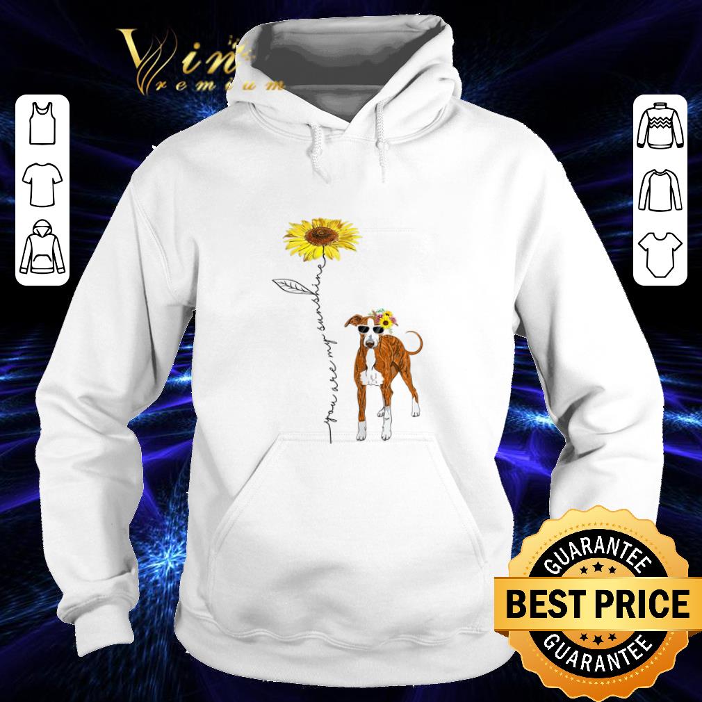 Premium Italian Greyhound You Are My Sunshine Sunflower shirt