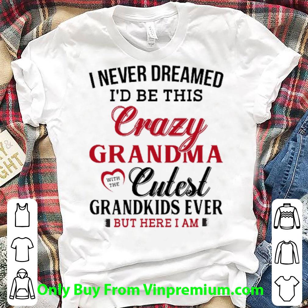 Premium I Never Dreamed I'd Be This Crazy Grandma Cutest Grandkids Ever shirt