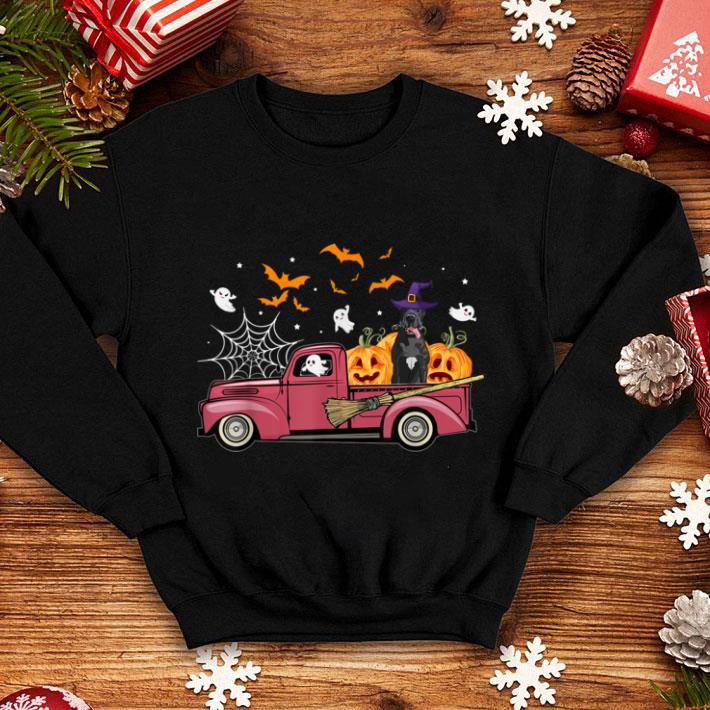 Pretty Great Dane on Red Truck Pumpkin Funny Halloween Costume shirt