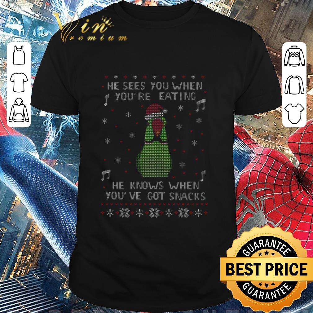 Funny Parrot He Sees You When You’re Eating He Knows When You’ve Got Snacks Ugly Christmas Sweater shirt