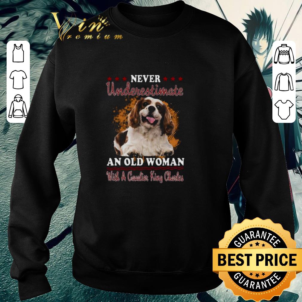 Funny Never Underestimate An Old Woman With A Cavalier King Charles shirt