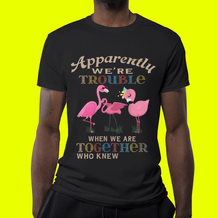 Apparently We re Trouble When We Are Together Flamingo Who Knew shirt 4 - Apparently We're Trouble When We Are Together Flamingo Who Knew shirt