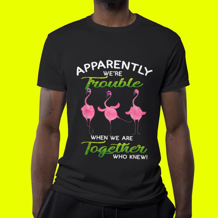 Apparently We re Trouble When We Are Together Who Knew Flamingo shirt 4 - Apparently We're Trouble When We Are Together Who Knew Flamingo shirt