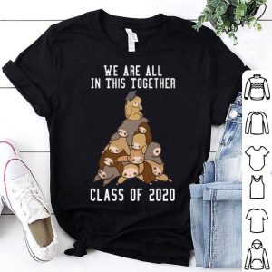 Sloth We Are All In This Together Class Of 2020 shirt