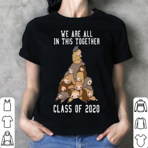 Sloth We Are All In This Together Class Of 2020 shirt