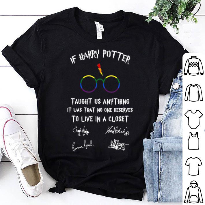 If Harry Potter Taught Us Anything It Was That No One Deserves LGBT shirt