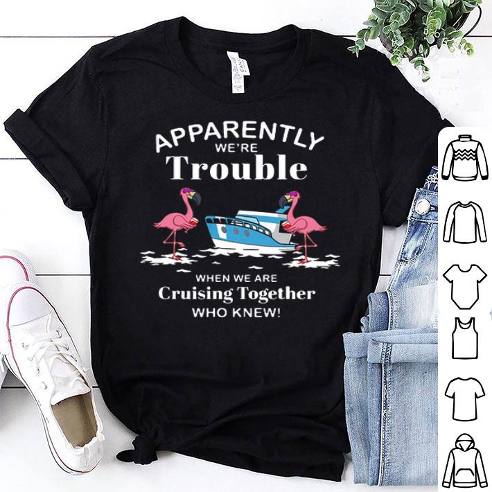 Apparently We're Trouble When We Are Cruising Together Who Knew Flamingos shirt