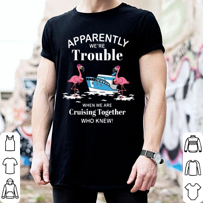 Apparently We're Trouble When We Are Cruising Together Who Knew Flamingos shirt