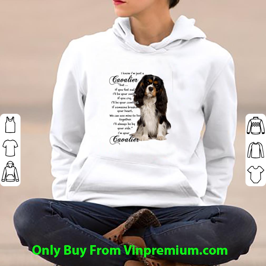2cb33910 nice i know i m just a cavalier but if you feel sad i ll be your smile shirt 4 - Nice I Know I’m Just A Cavalier But If You Feel Sad I’ll Be Your Smile shirt