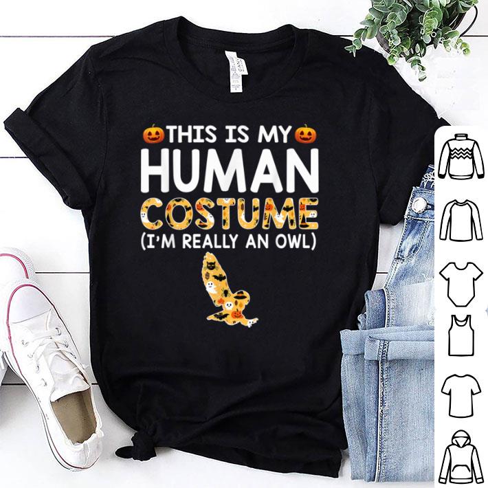 Great This Is My Human Costume Robot Cool Halloween shirt