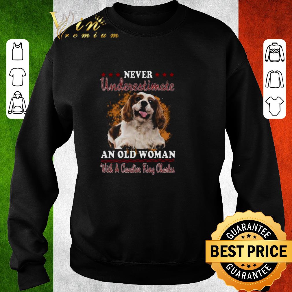 270e232c nice never underestimate an old woman with a cavalier king charles shirt 4 - Nice Never Underestimate An Old Woman With A Cavalier King Charles shirt