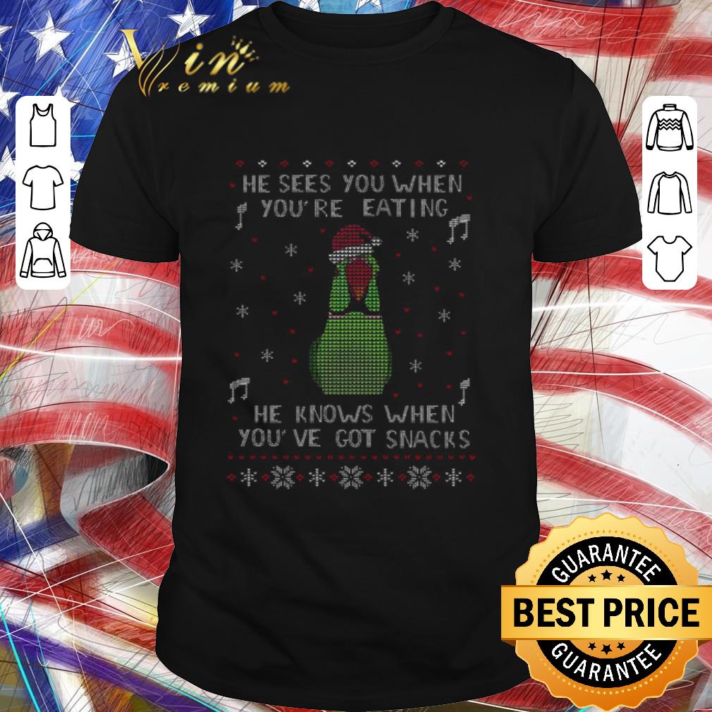 Nice Parrot He Sees You When You’re Eating He Knows When You’ve Got Snacks Ugly Christmas Sweater shirt