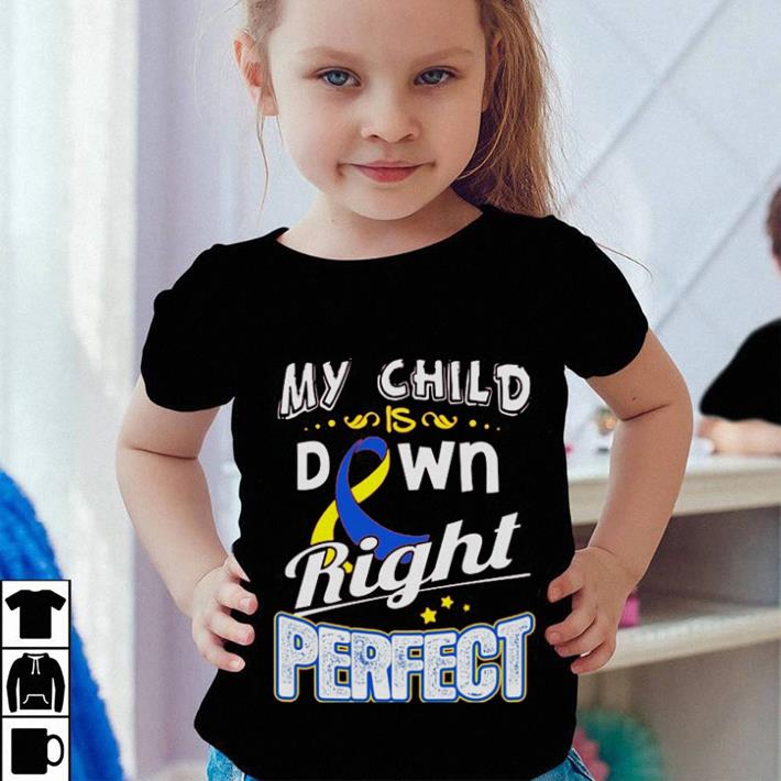 Down Syndrome Awareness My child is down right perfect shirt hoodie 4 - Down Syndrome Awareness My child is down right perfect shirt hoodie