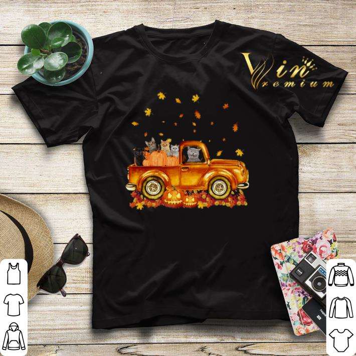 Halloween Cats pumpkin car shirt 4 - Halloween Cats pumpkin car shirt