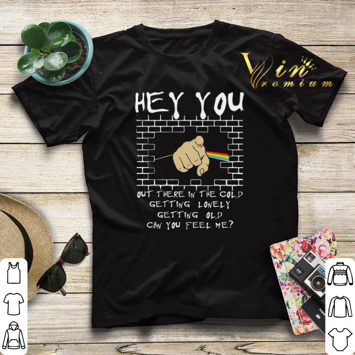 Pink Floyd hey you out there in the cold getting lonely getting shirt sweater 4 - Pink Floyd hey you out there in the cold getting lonely getting shirt sweater