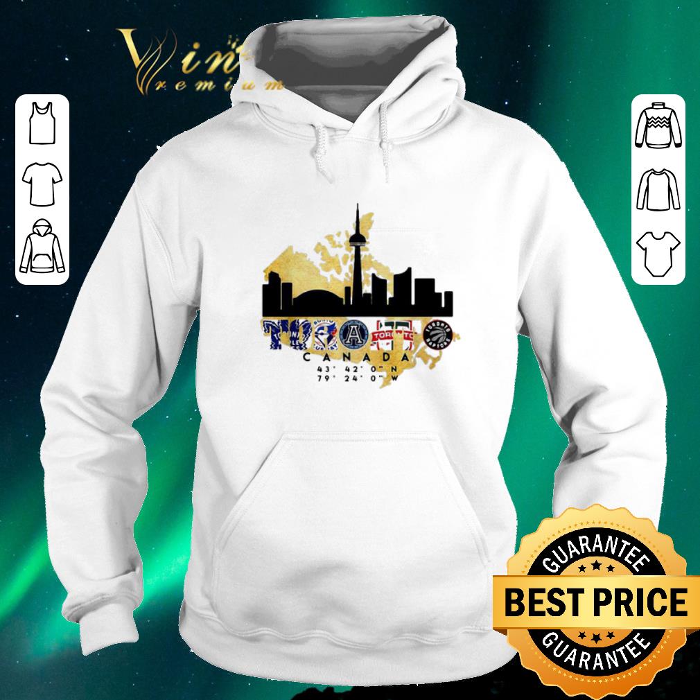 Hot Toronto City Canada team sports shirt sweater 4 - Hot Toronto City Canada team sports shirt sweater