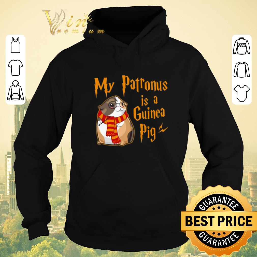 Original Harry Potter My patronus is a guinea pig shirt sweater 4 - Original Harry Potter My patronus is a guinea pig shirt sweater