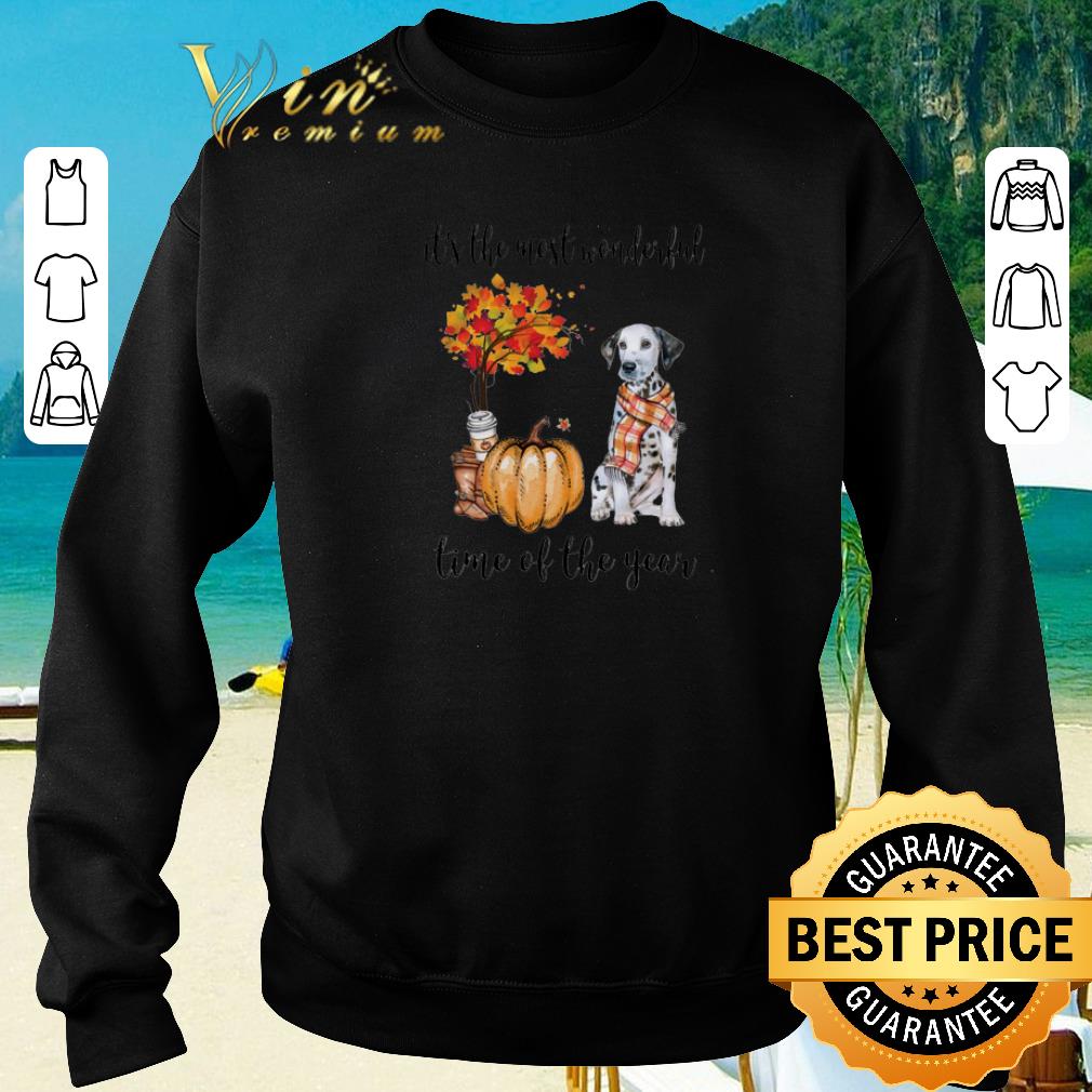 Pretty Dalmatian Pumpkin it s the most wonderful time of the year shirt sweater 2020 4 - Pretty Dalmatian & Pumpkin it's the most wonderful time of the year shirt sweater 2020