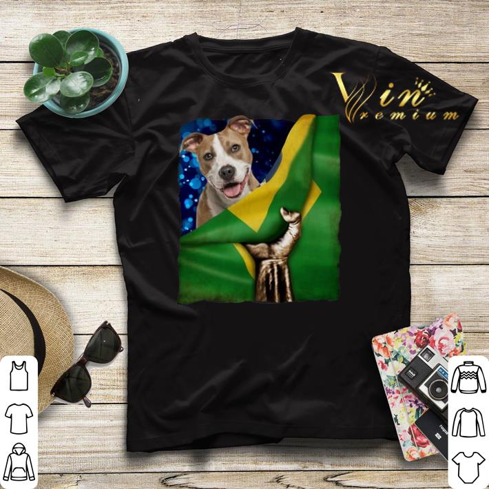 Bandeira do Brasil American Staffordshire Terrier shirt sweater Bandeira do Brasil American Staffordshire Terrier shirt sweater 4 - Bandeira do Brasil American Staffordshire Terrier shirt sweater