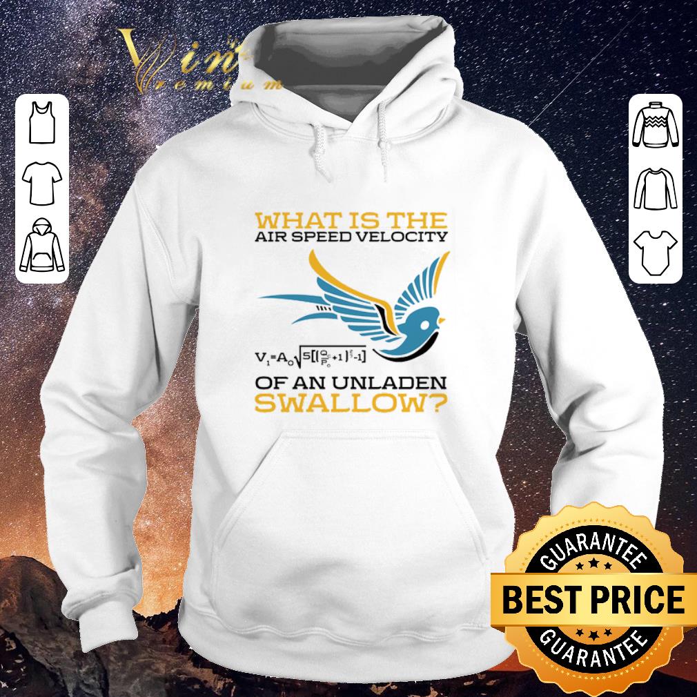 Original What is the air speed velocity of an unladen swallow math shirt sweater 4 - Original What is the air speed velocity of an unladen swallow math shirt sweater