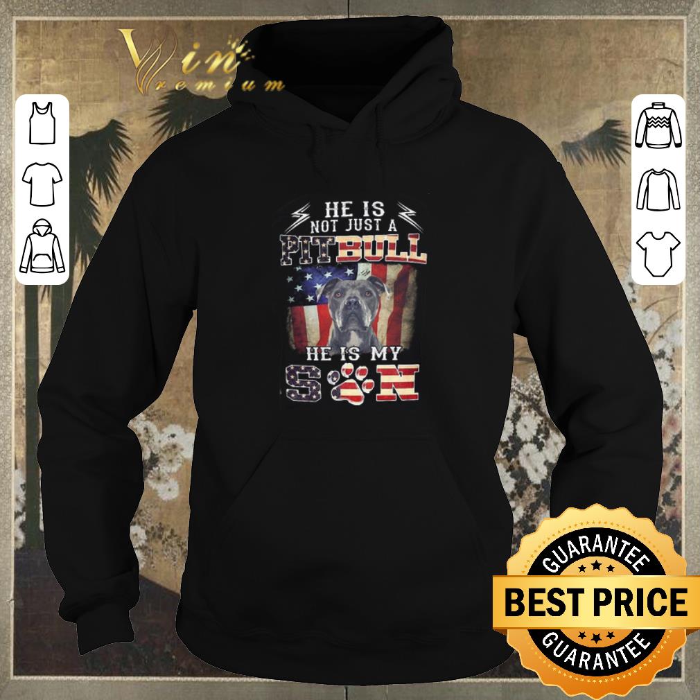 Awesome He is not just a Pitbull he is my son American flag shirt sweater Awesome He is not just a Pitbull he is my son American flag shirt sweater 4 - Awesome He is not just a Pitbull he is my son American flag shirt sweater