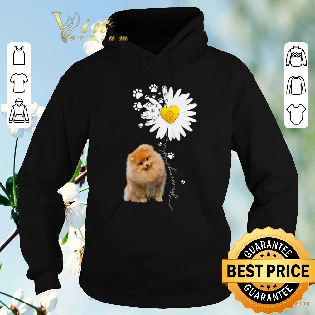 Pretty Paw Pomeranian Daisy flower you are my sunshine shirt sweater 4 - Pretty Paw Pomeranian Daisy flower you are my sunshine shirt sweater