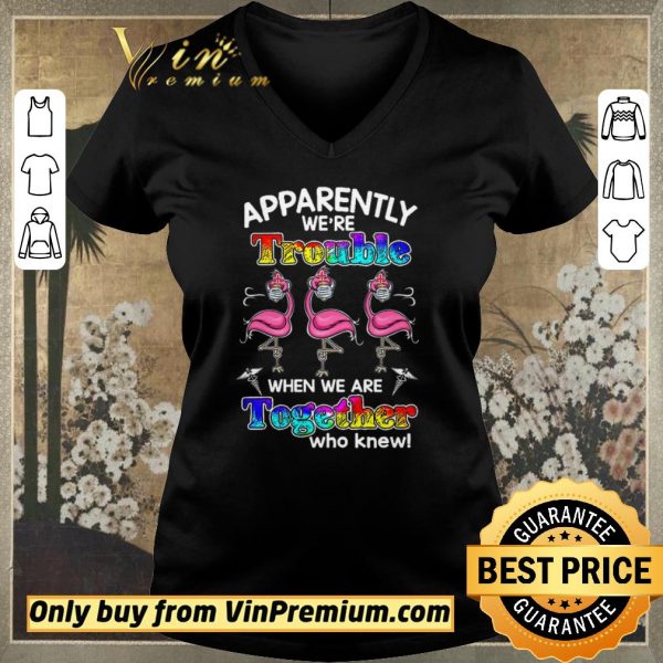 Premium Flamingo Apparently We’re Trouble When We Are Together Who Knew Coronavirus shirt sweater