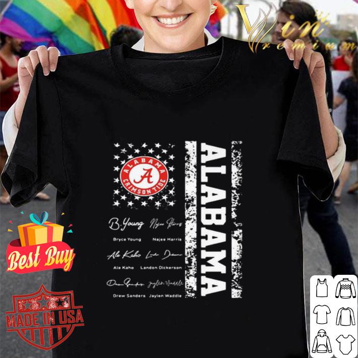 Captain Llamerica Llama Mashup Captain America shirt