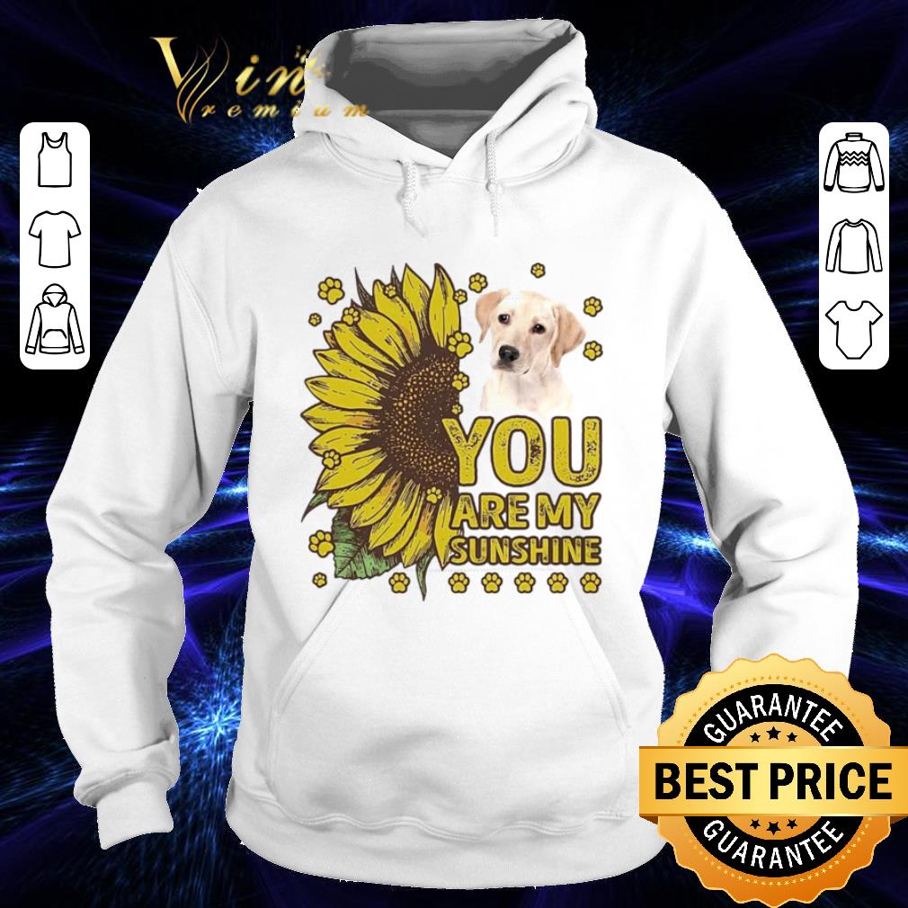 41ab669e labrador retriever you are my sunshine shirt 4 - Labrador Retriever You Are My Sunshine shirt