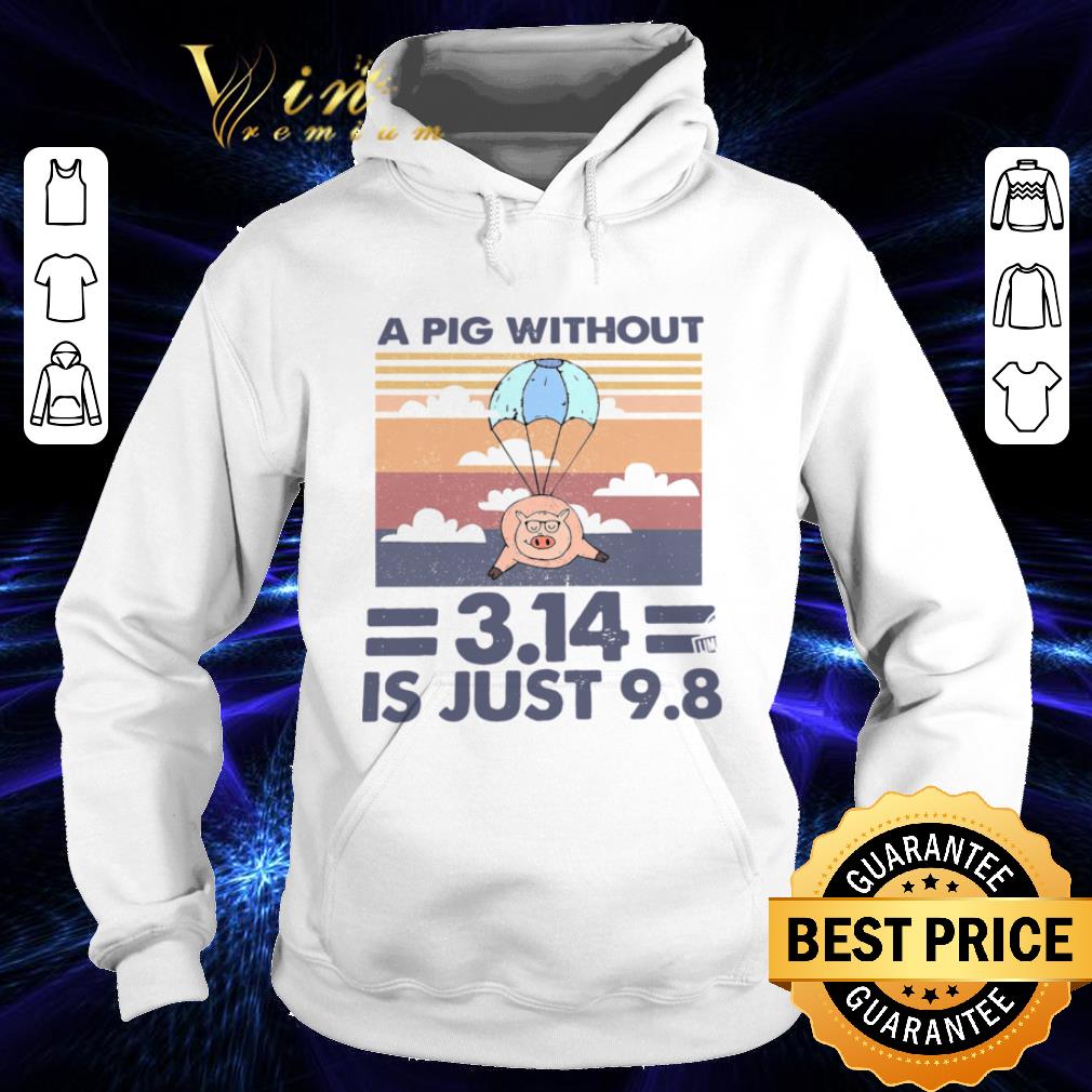 6551ecef a pig without 3 14 is just 9 8 vintage shirt 4 - A Pig Without 3.14 Is Just 9.8 Vintage shirt