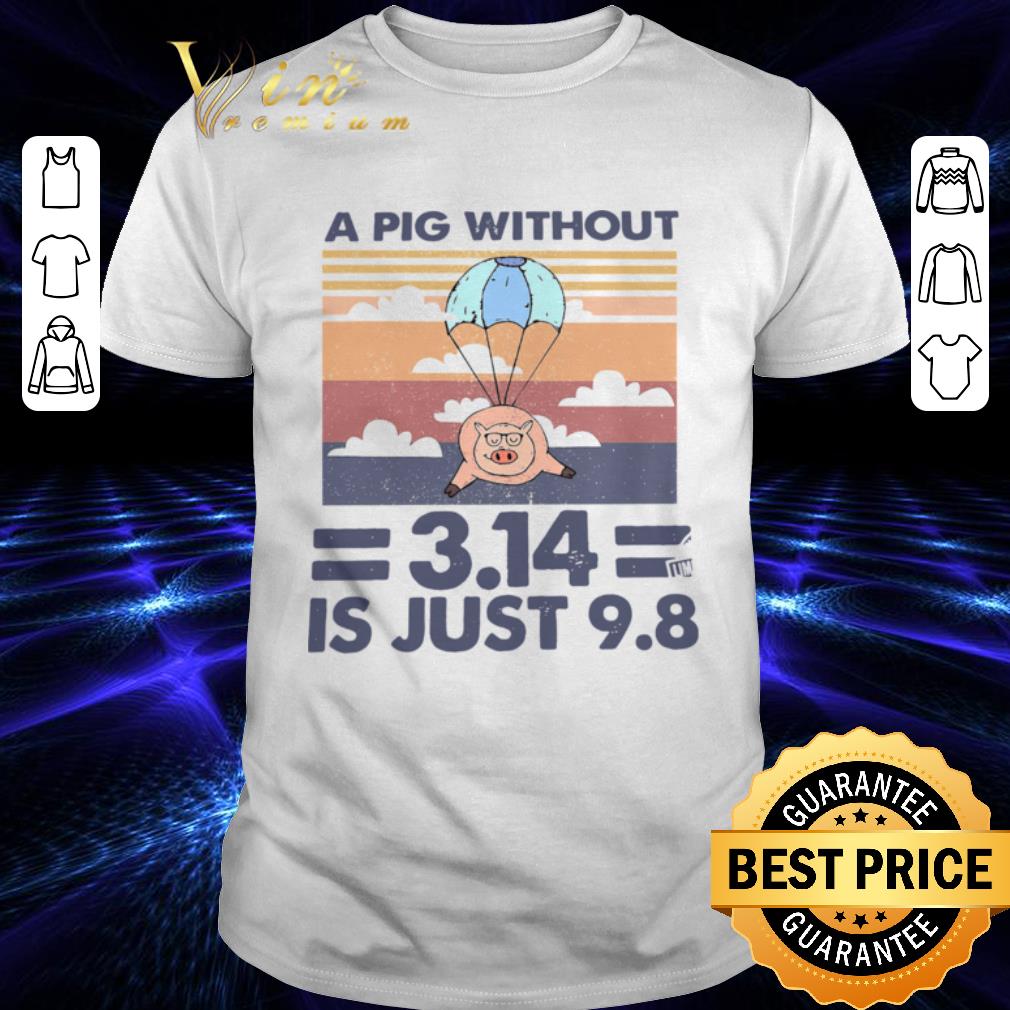 A Pig Without 3.14 Is Just 9.8 Vintage shirt