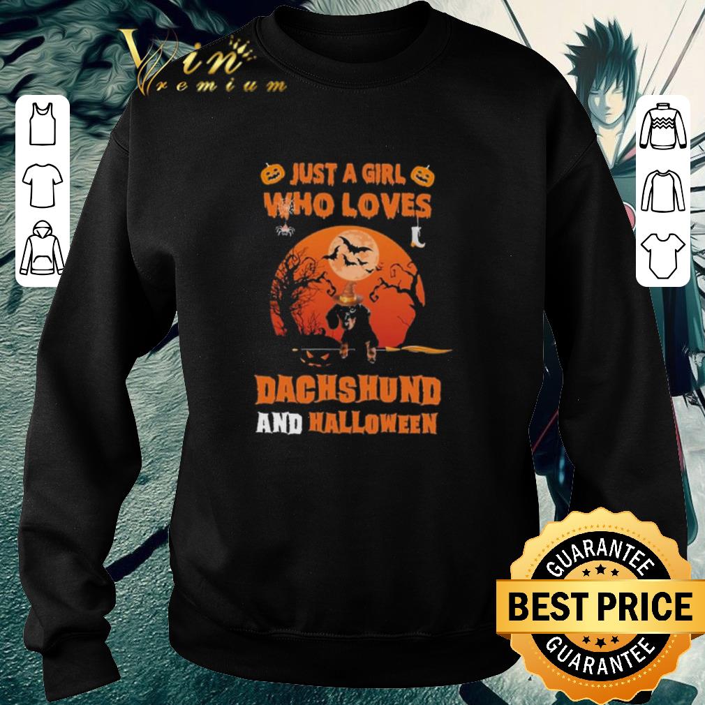4d3119a7 premium just a girl who loves dachshund and halloween shirt 4 - Premium Just a Girl who loves Dachshund and Halloween shirt