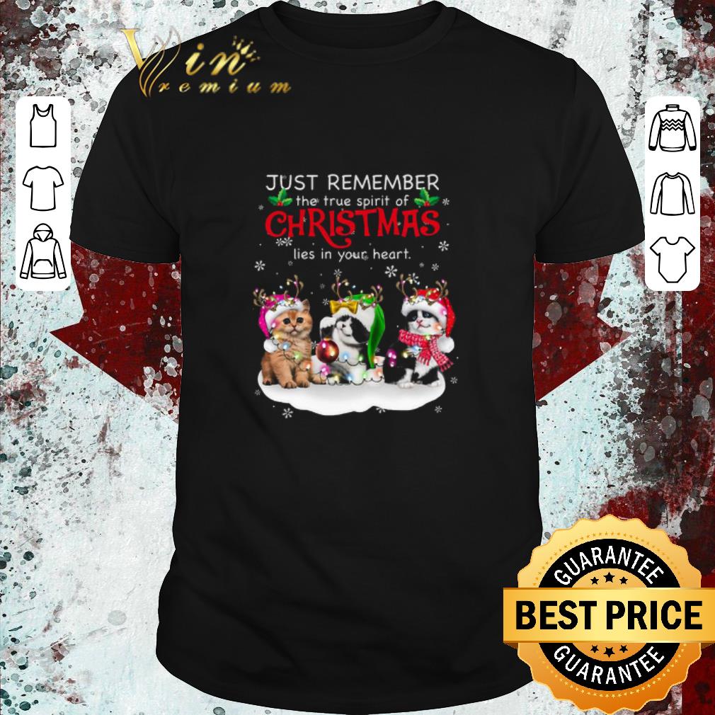 Awesome Cat Reindeer Just Remember The True Spirit Of Christmas Lies In Your Heart sweater