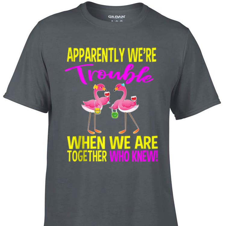 Awesome Apparently We Are Trouble When We Are Together Who Knew Flamingo shirt