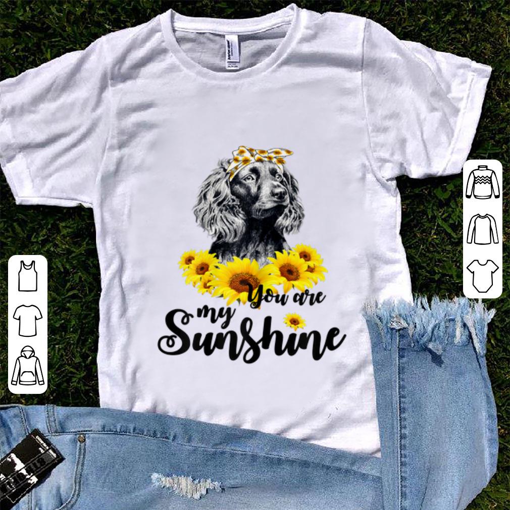 Nice Boykin Spaniel You Are My Sunshine Sunflower shirt