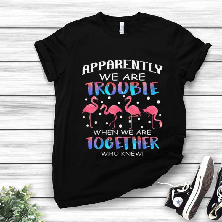 Top Apparently We're Trouble When We're Together Who Knew Flamingo shirt