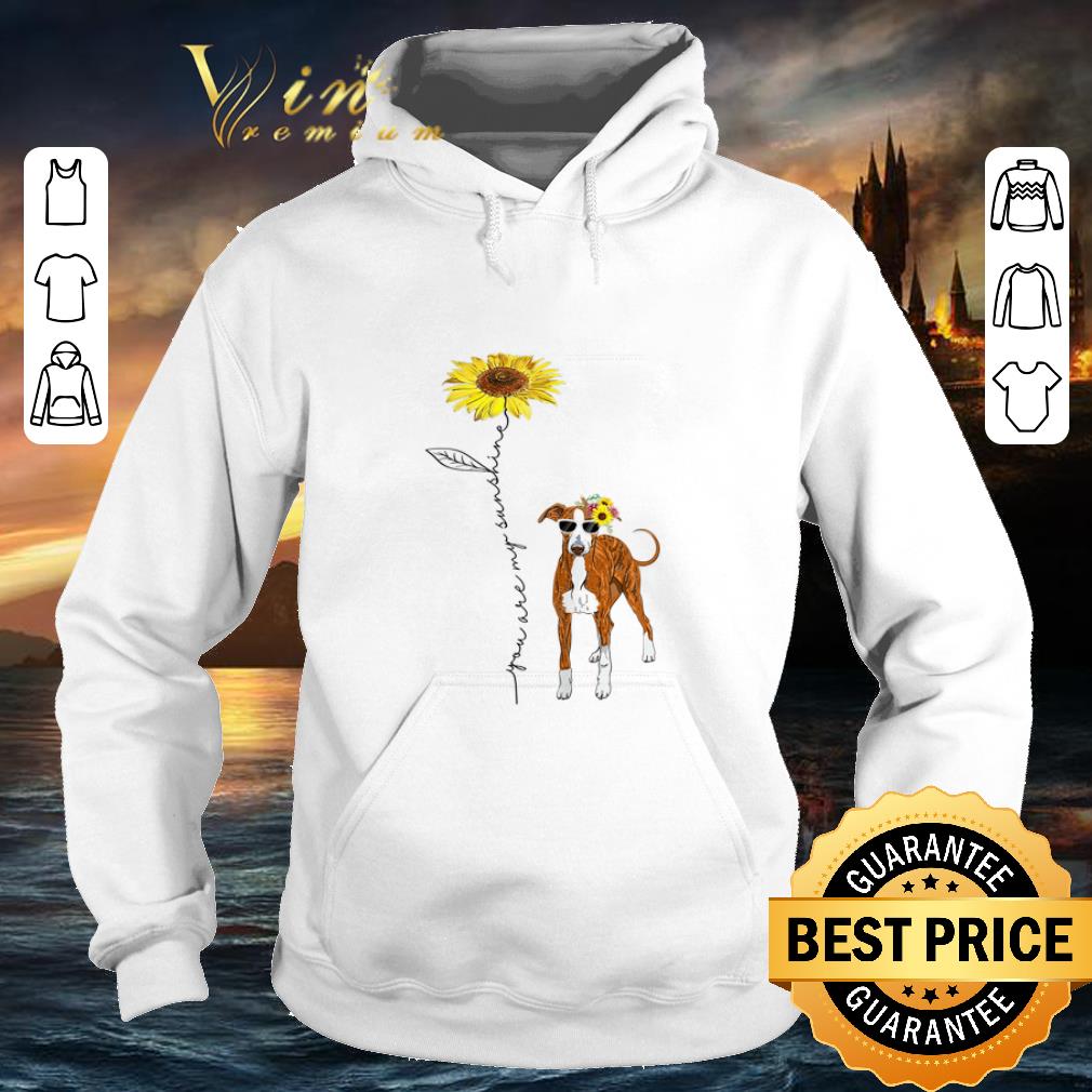 Hot Italian Greyhound You Are My Sunshine Sunflower shirt