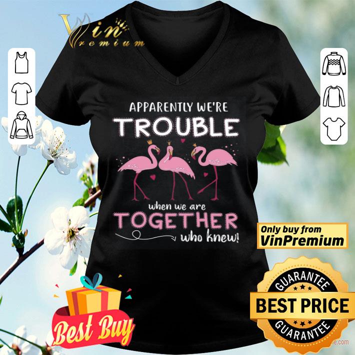 Flamingo Apparently We're Trouble When We Are Together Who Knew shirt