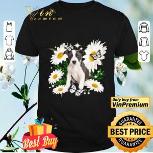 Pitbull Daisy flower Classic shirt