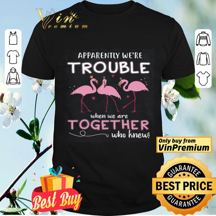 Flamingo Apparently We're Trouble When We Are Together Who Knew shirt