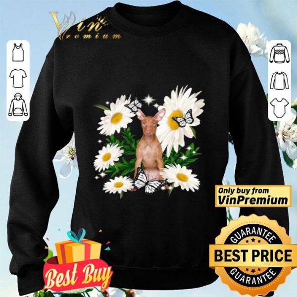 Pharaoh-hound Daisy flower Classic shirt